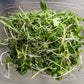Power Mix (3 oz)